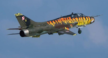 Poljski borbeni avion