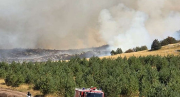 Požar kod Zvirnjače proširio se na područje triju općina. U Malom Mrkodolu izgorjela je kuća, a vatra prijeti naseljima i šumama Vran-planine.