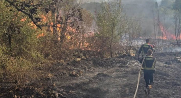 Požar uz cestu Koćuša – Vojnići zahvatio je šumu i raslinje na nepristupačnom terenu. Zatražen je Air Tractor, a stižu dodatne vatrogasne snage.