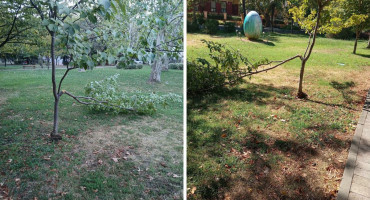 U mostarskom Zrinjevcu polomljena su mlada stabla trešnje, dok je betonska kanta bačena u bazen na Bunici. Slična stabla uništavana su i ranije.