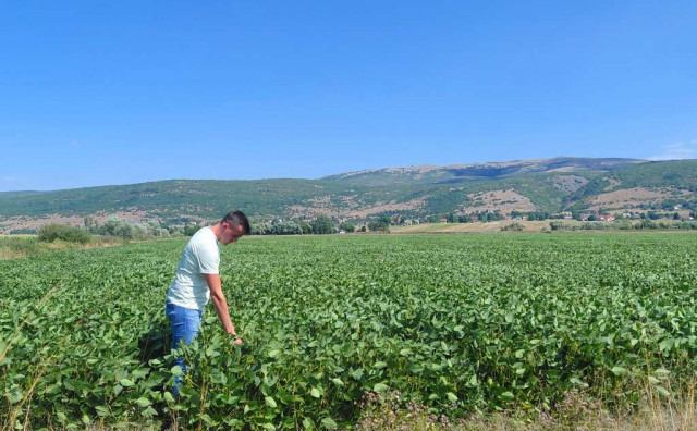 Vratio se iz Njemačke u Livno i danas obrađuje 230 hektara zemlje