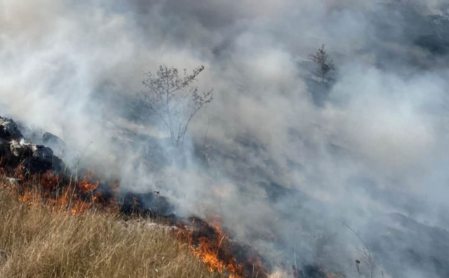 Vjetar spustio požar na Hansko polje kod Rujišta, mostarski vatrogasci poručuju: 'Katastrofa'