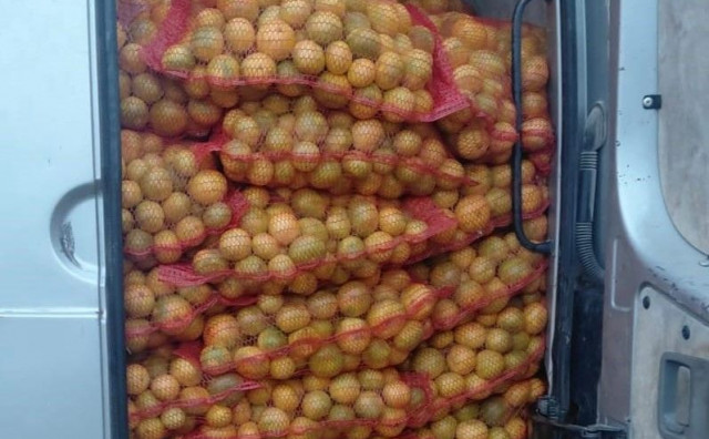krijumčarenje mandarine