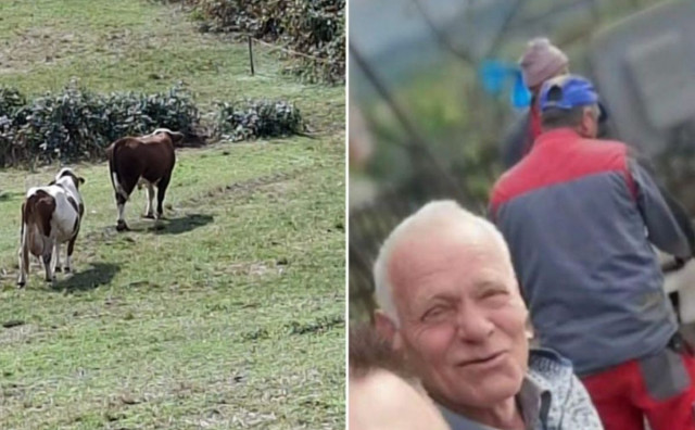 Tragedija u BiH: Farmer preminuo nakon napada bika