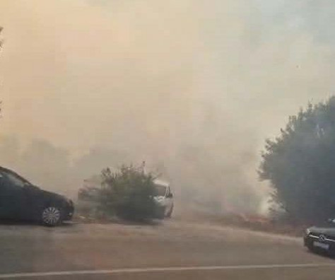 Veliki požar u Tihaljini: Gust dim otežava promet, ugrožena jedna kuća