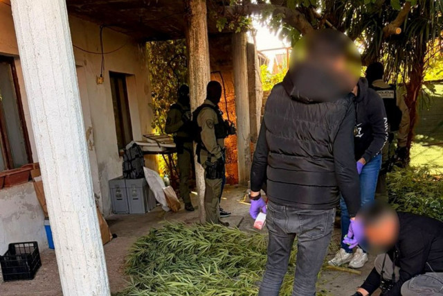 FOTO U Čapljini otkrivena plantaža kanabisa, uhićene dvije osobe