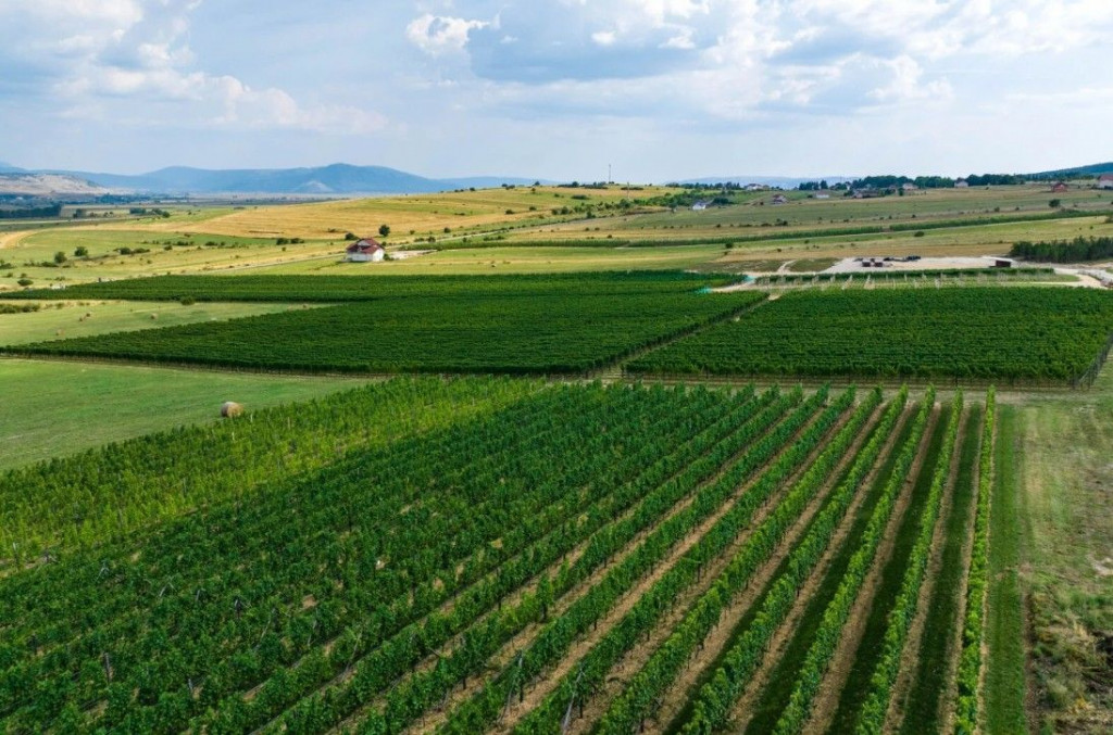 Vinarija k nebu Tomislavgrad