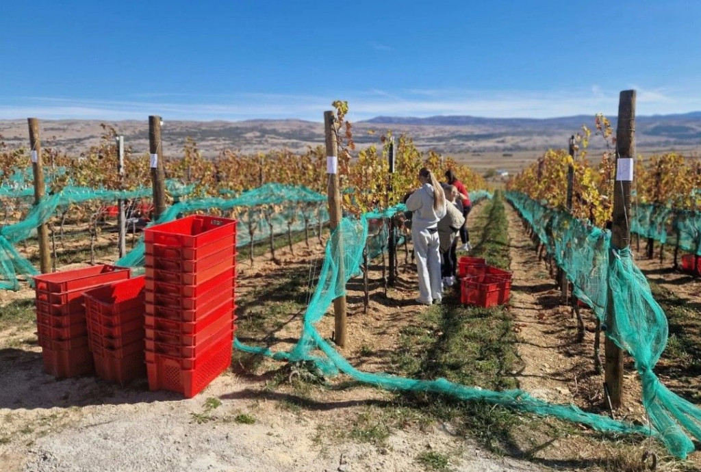 Vinarija k nebu Tomislavgrad