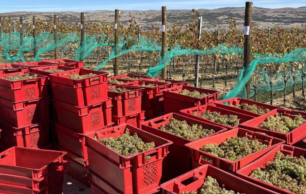 Vinarija k nebu Tomislavgrad