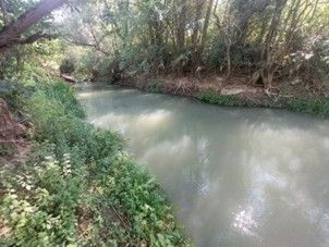 Zamućena voda, neugodan miris i zabrinutost za zdravlje kupača