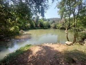 Zamućena voda, neugodan miris i zabrinutost za zdravlje kupača