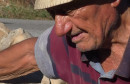 bono pavkovic