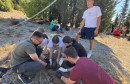 pošumljavanje Bjelušine