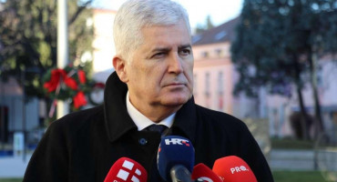 dragan covic 