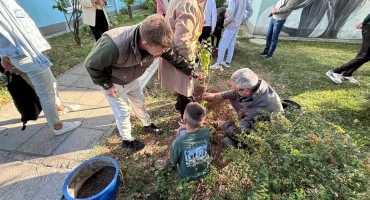 Hlad ispod istog drveta, sadnja u Mostaru