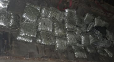 Marihuana