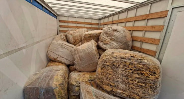 Policija je u Žegulji kod Berkovića pronašla i oduzela 1.070 kilograma duhana. Vozač je uhićen zbog sumnje u nedozvoljenu trgovinu.