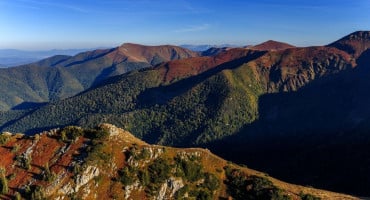 Vranica