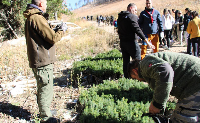 pošumljavanje Blidinje
