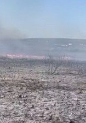 Vatrogasci gotovo pet sati gasili požar na Mostarskom blatu