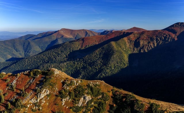 Vranica